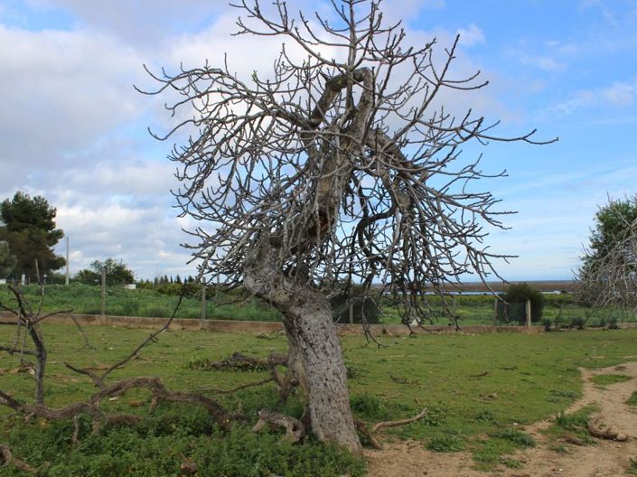 Image No.30-6 Bed House for sale