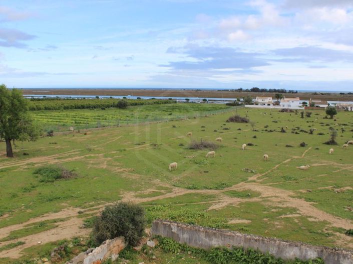 Image No.31-6 Bed House for sale