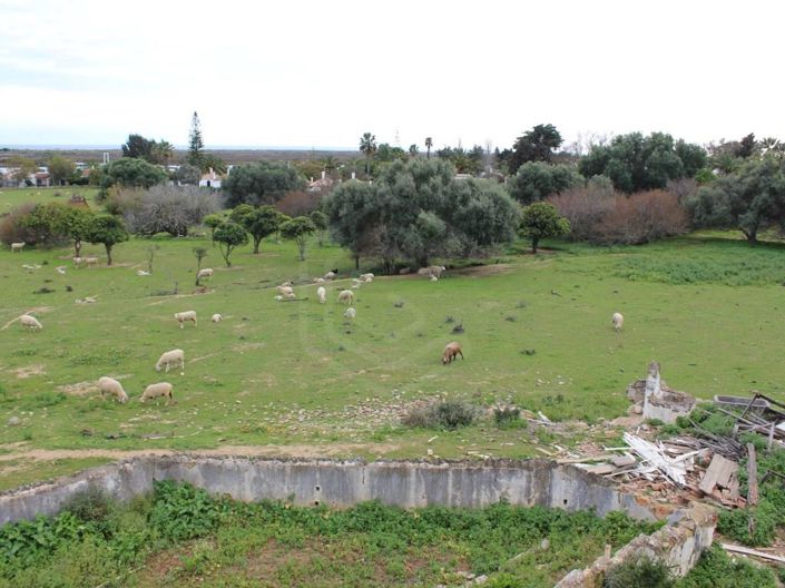 Image No.32-6 Bed House for sale