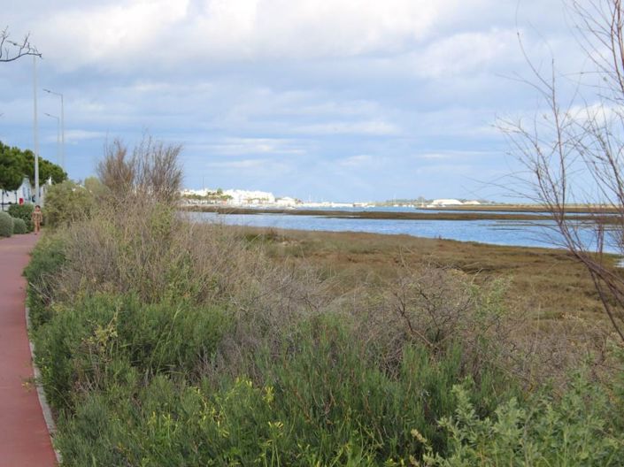 Image No.37-6 Bed House for sale