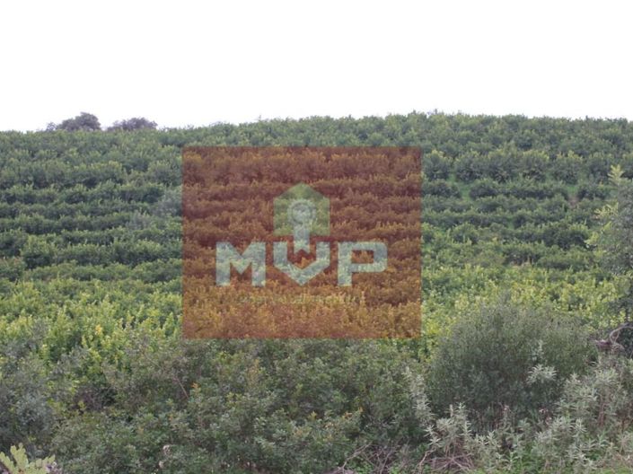 Image No.29-House for sale