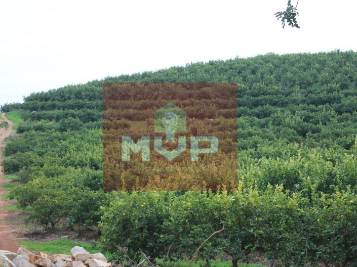 Image No.30-House for sale