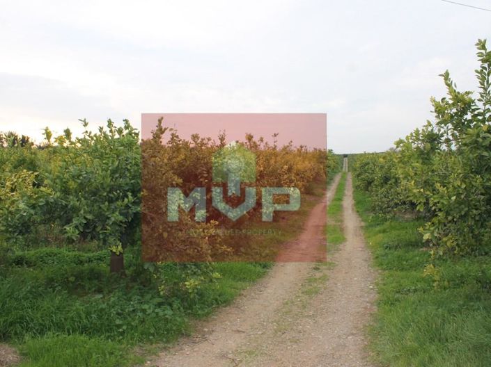 Image No.32-House for sale