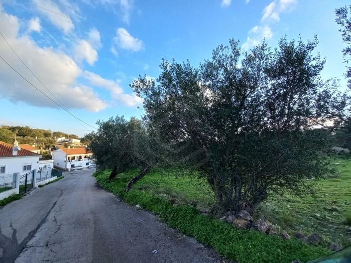 Image No.10-5 Bed House for sale