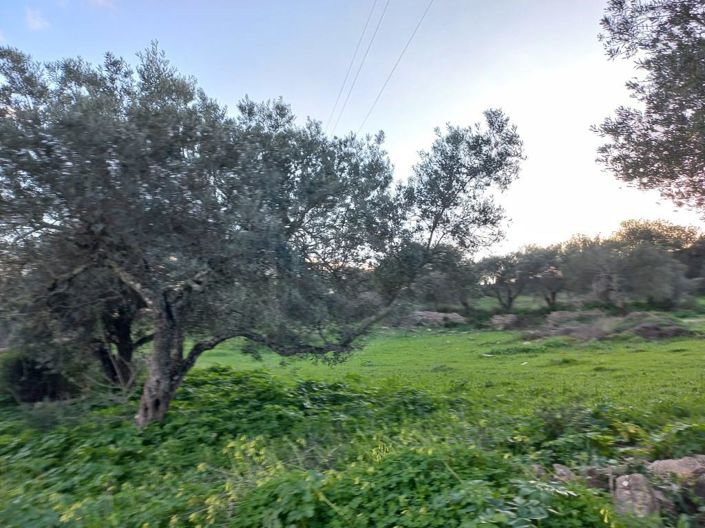 Image No.12-5 Bed House for sale