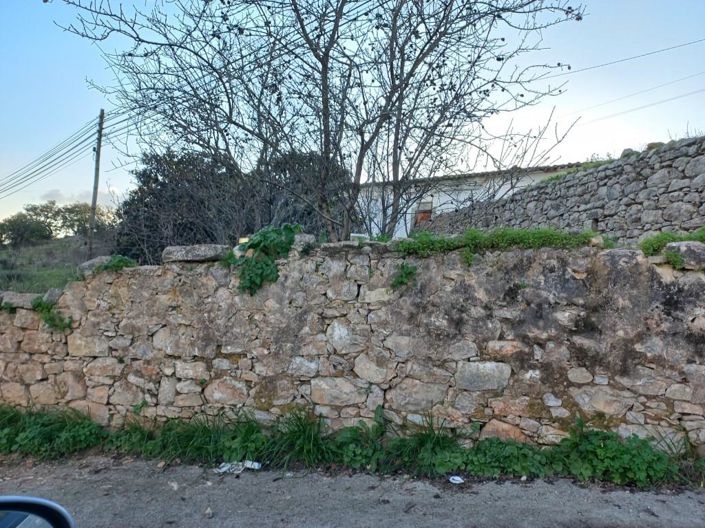 Image No.18-5 Bed House for sale