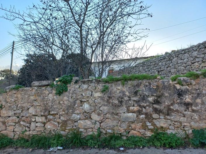 Image No.20-5 Bed House for sale