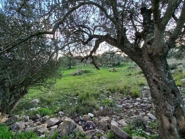 Image No.6-5 Bed House for sale