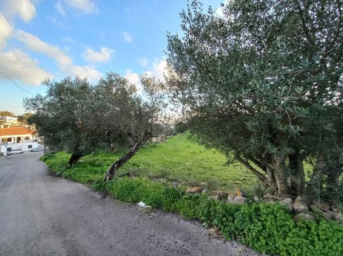 Image No.7-5 Bed House for sale