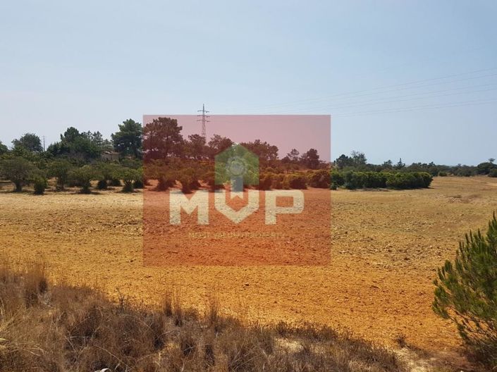 Image No.17-2 Bed House for sale