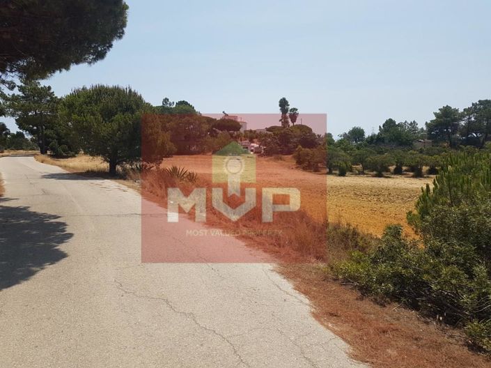 Image No.19-2 Bed House for sale