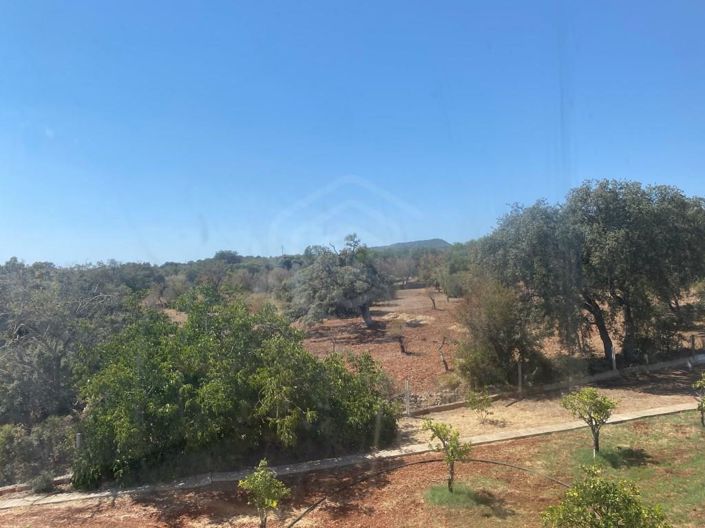 Image No.37-12 Bed House for sale