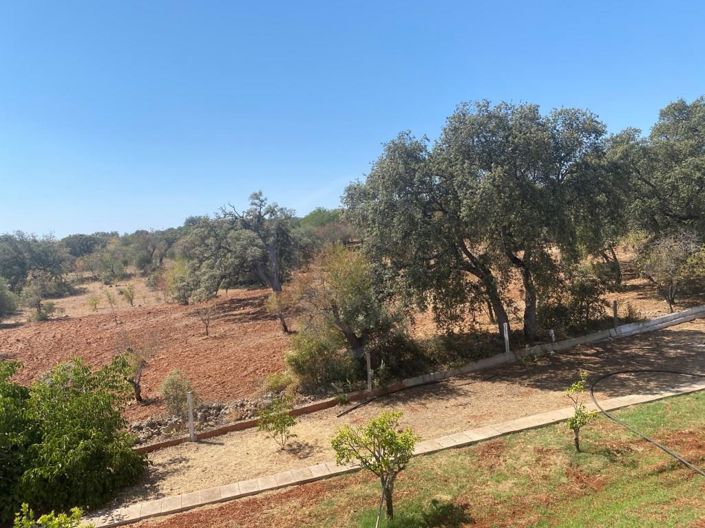 Image No.39-12 Bed House for sale