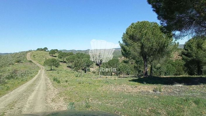 Image No.10-House for sale