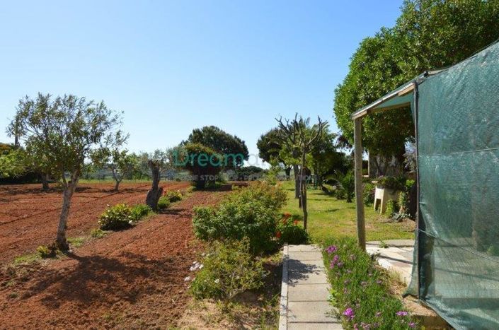 Image No.33-9 Bed House for sale