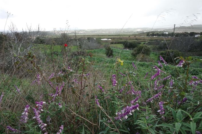 Image No.16-5 Bed House for sale