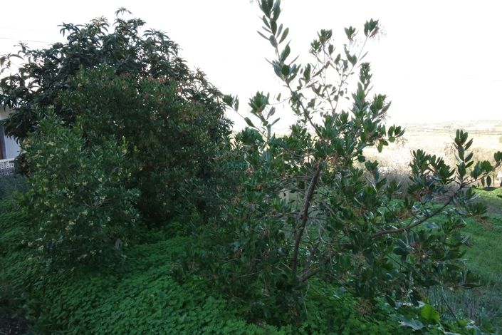 Image No.19-5 Bed House for sale