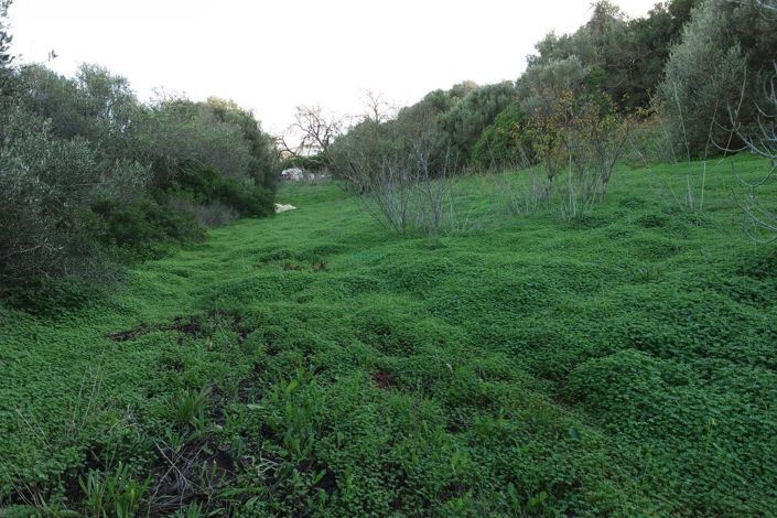 Image No.33-5 Bed House for sale