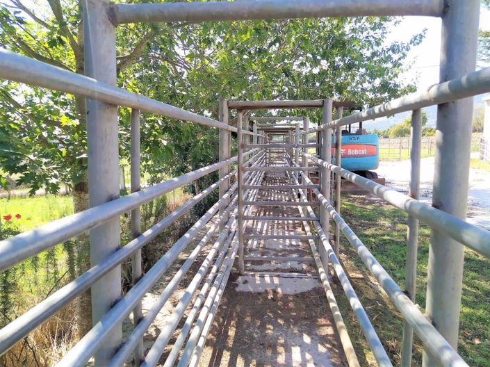 Image No.31-7 Bed House for sale