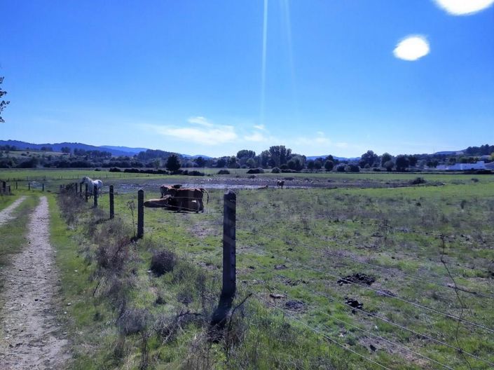 Image No.37-7 Bed House for sale