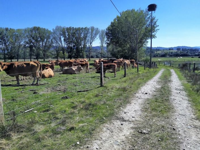 Image No.39-7 Bed House for sale