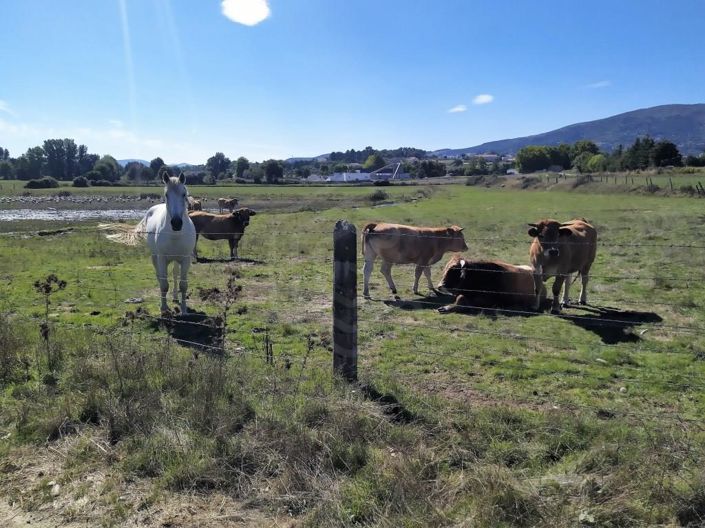 Image No.40-7 Bed House for sale