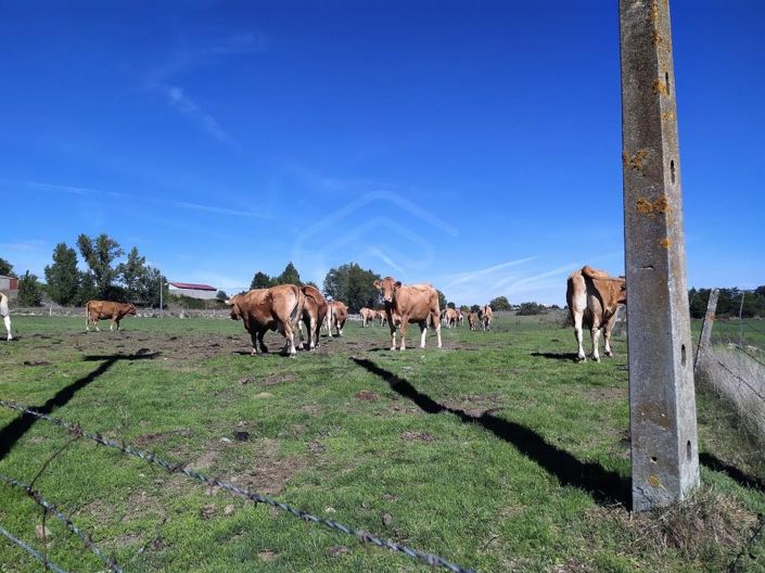 Image No.43-7 Bed House for sale