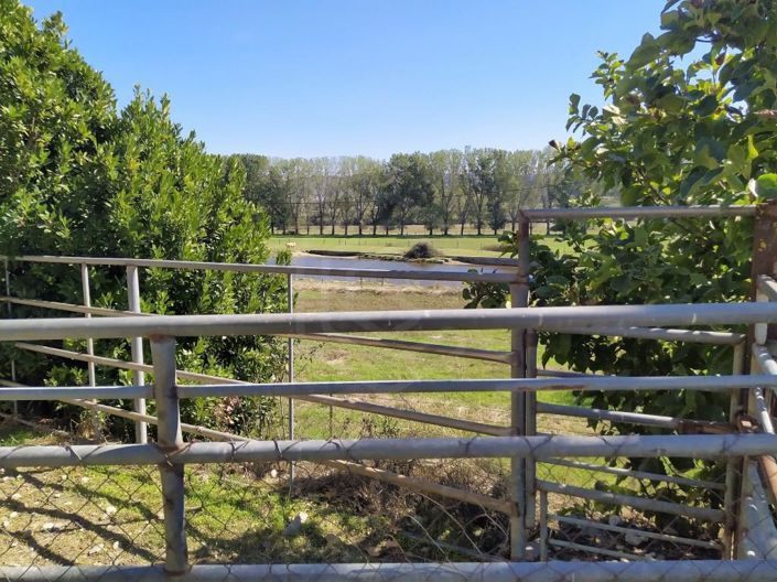 Image No.47-7 Bed House for sale