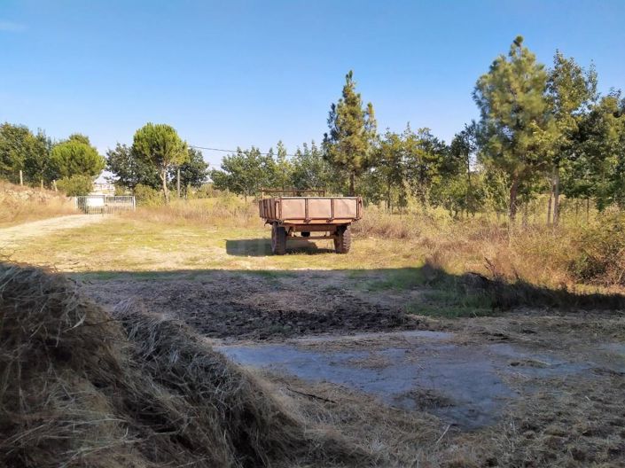 Image No.49-7 Bed House for sale