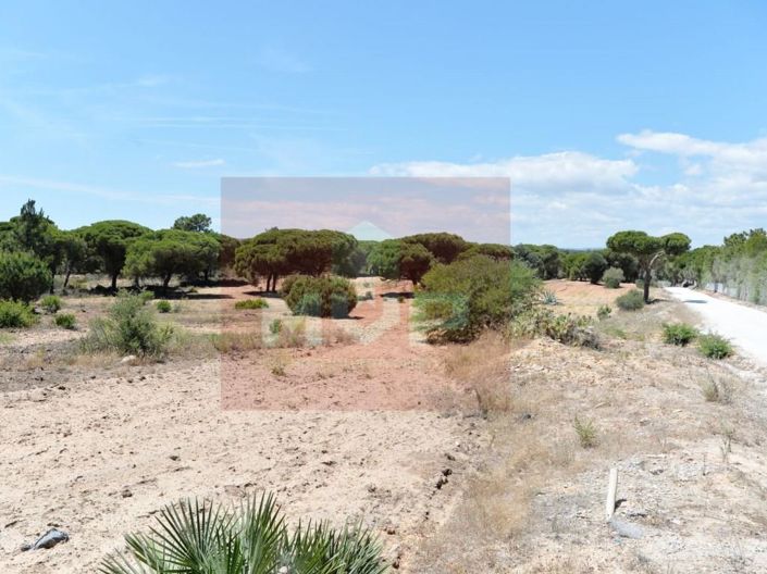 Image No.18-5 Bed House for sale