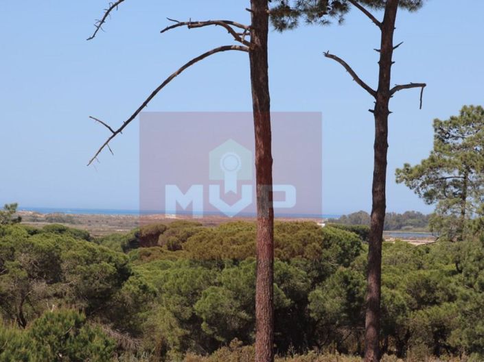 Image No.20-5 Bed House for sale