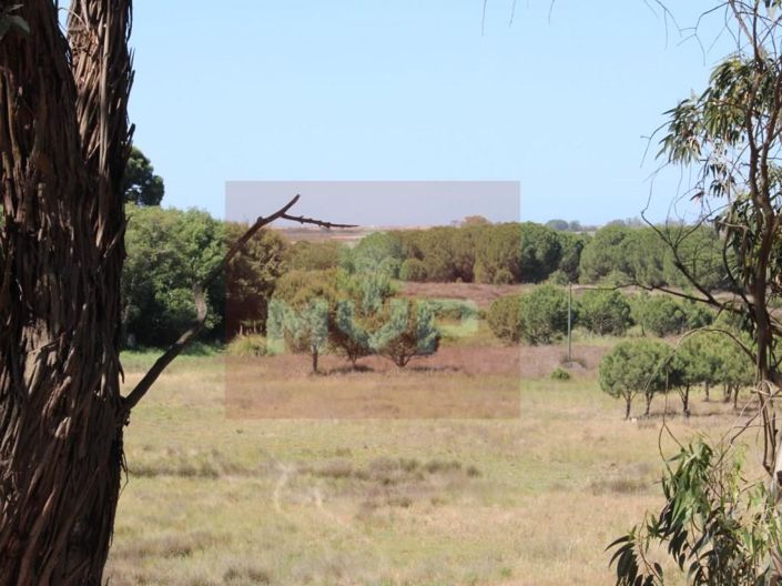 Image No.22-5 Bed House for sale