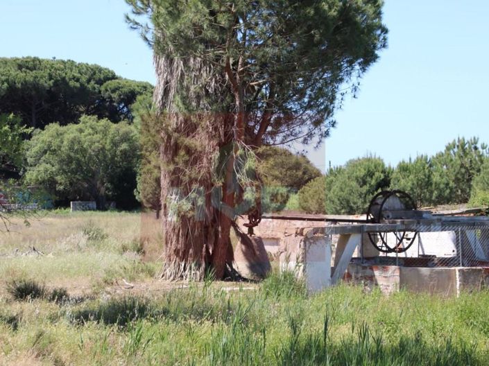 Image No.23-5 Bed House for sale