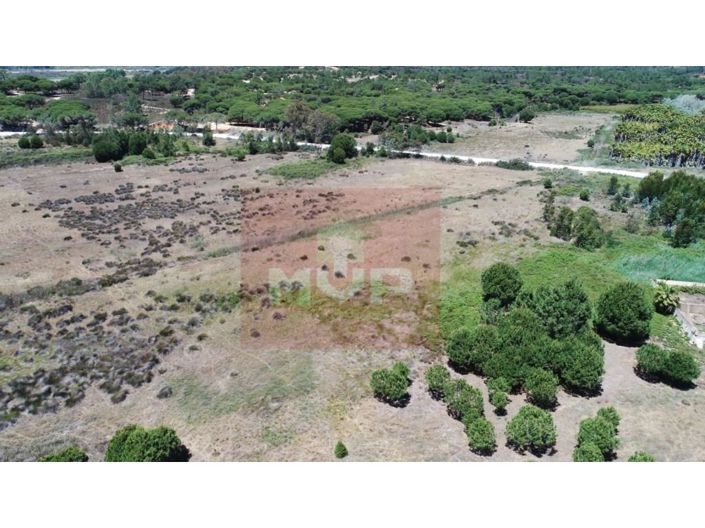 Image No.5-5 Bed House for sale