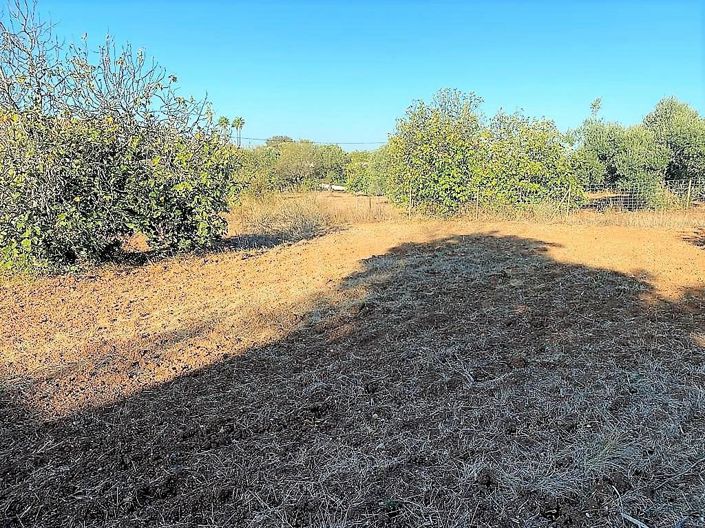 Image No.19-3 Bed House for sale