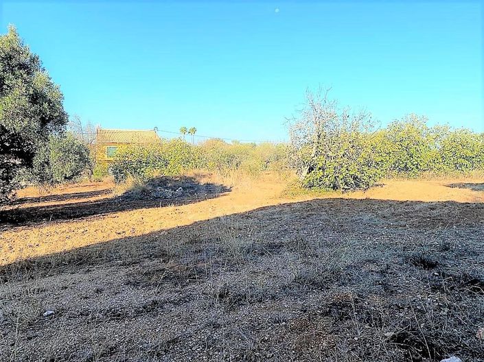 Image No.21-3 Bed House for sale