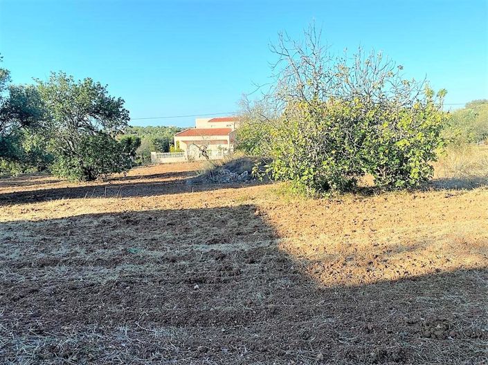 Image No.22-3 Bed House for sale