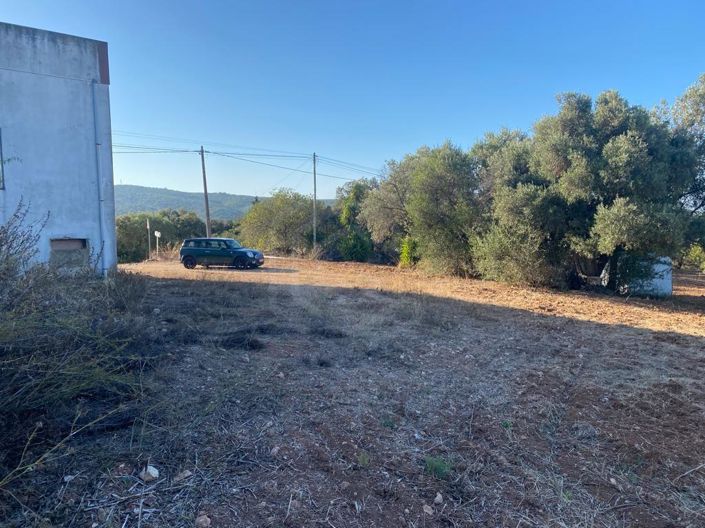 Image No.24-3 Bed House for sale