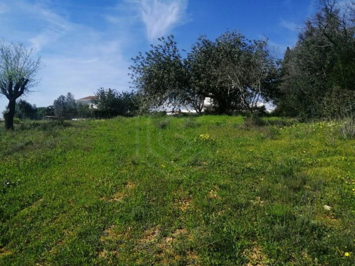 Image No.9-5 Bed House for sale