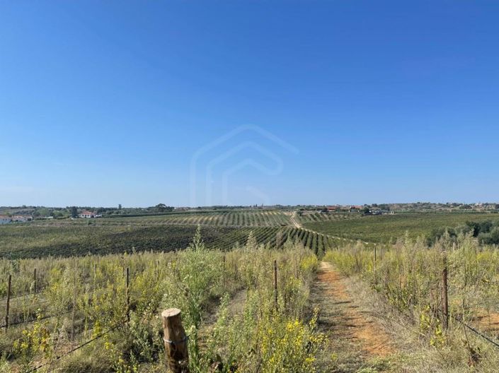 Image No.15-House for sale