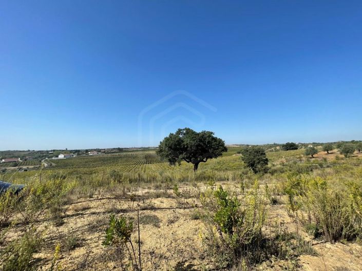 Image No.16-House for sale