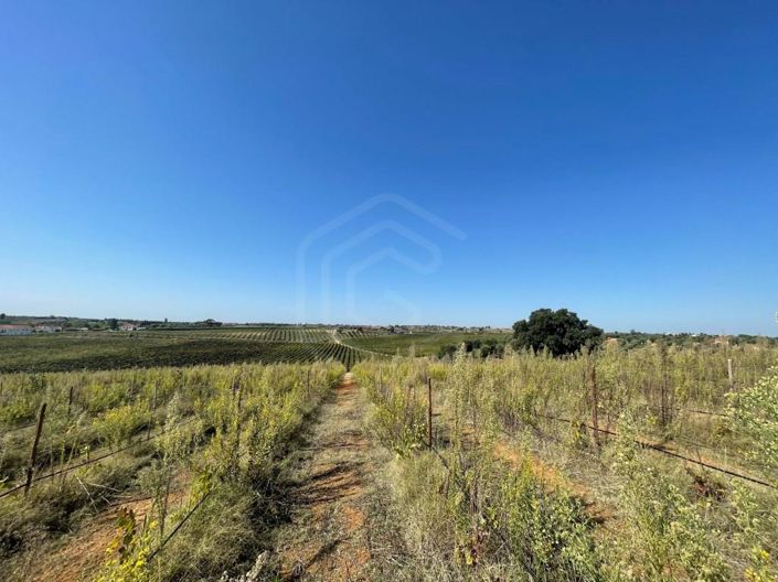 Image No.18-House for sale