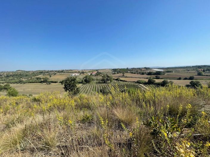 Image No.2-House for sale