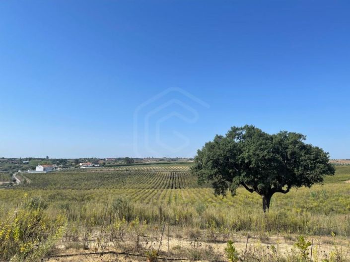 Image No.5-House for sale