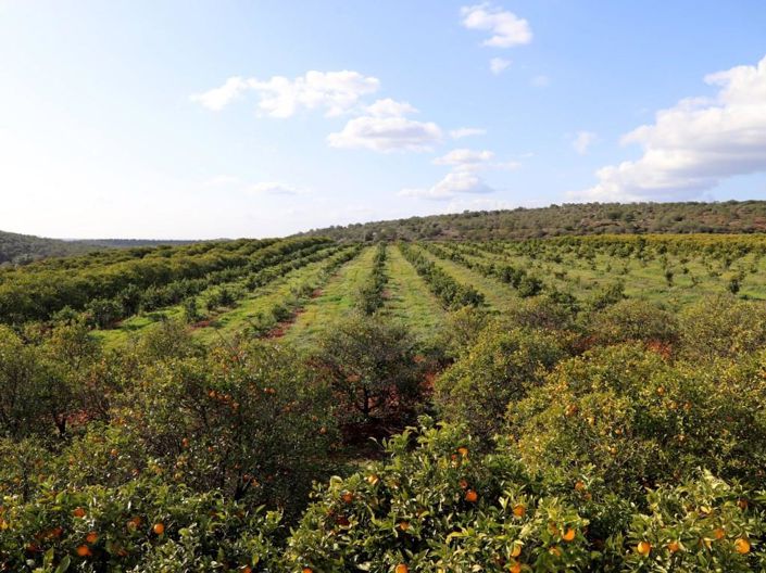 Image No.14-House for sale