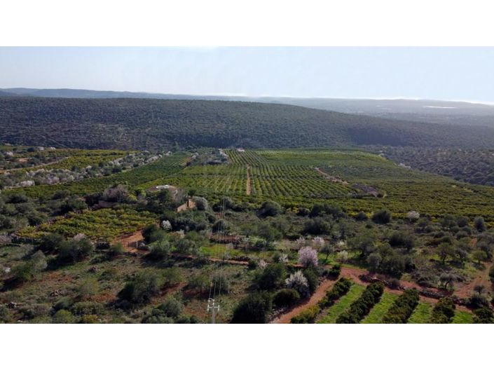 Image No.2-House for sale