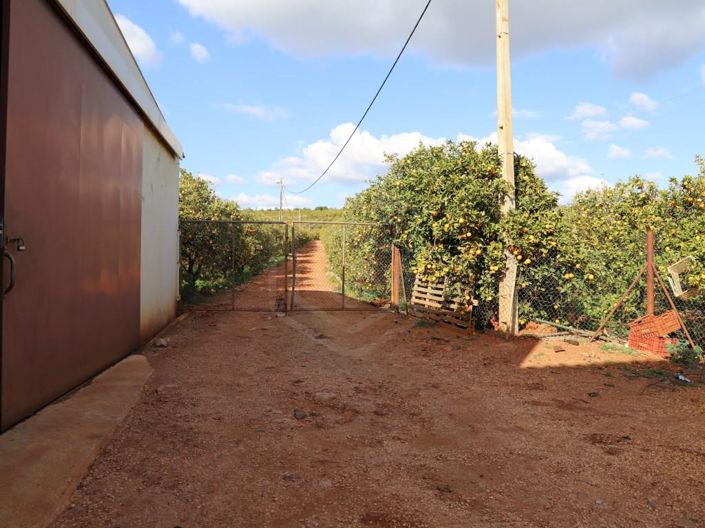 Image No.26-House for sale