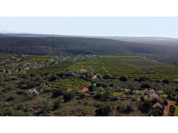 Image No.3-House for sale