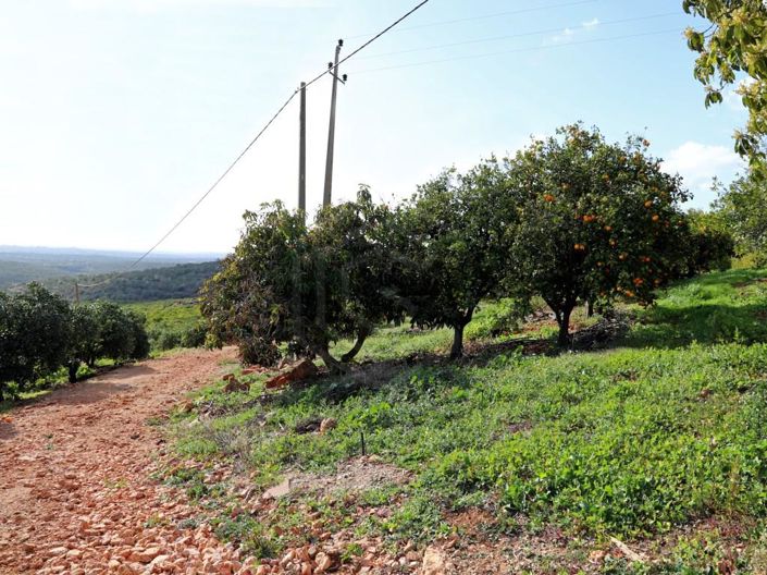 Image No.30-House for sale