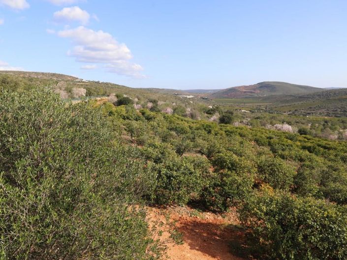 Image No.48-House for sale